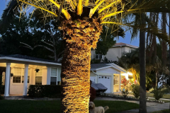 ziggi-landscaping-97